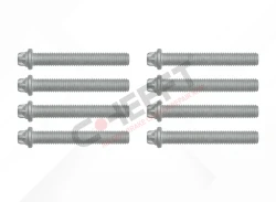 Caliper Connection Bolt