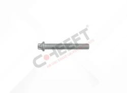 Caliper Connection Bolt