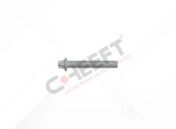 Caliper Connection Bolt