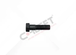 Caliper Connection Bolt