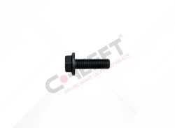 Caliper Connection Bolt