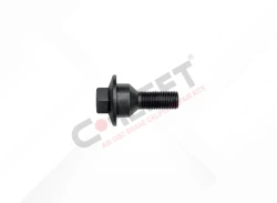 Caliper Connection Bolt