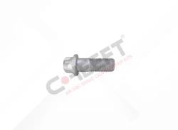 Caliper Connection Bolt