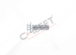 Caliper Connection Bolt