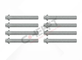 CALIPER CONNECTION BOLT