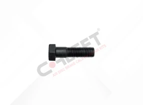 CONNECTION BOLT