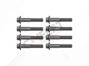 CALIPER CONNECTION BOLT