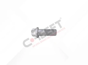 CALIPER CONNECTION BOLT