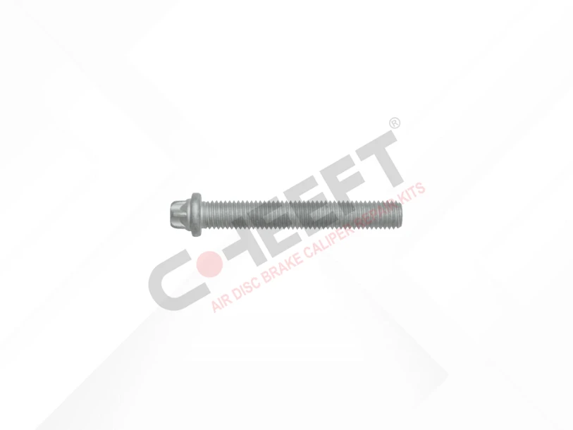 Cover Bolt M12 x 1,75 x 80 mm