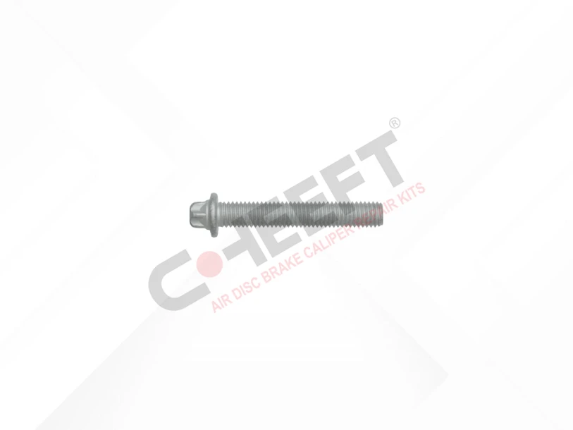 Cover Bolt M10 x 1,5 x 60 mm