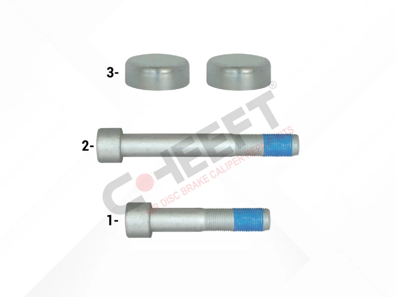 Caliper Bolt & Cap Kit