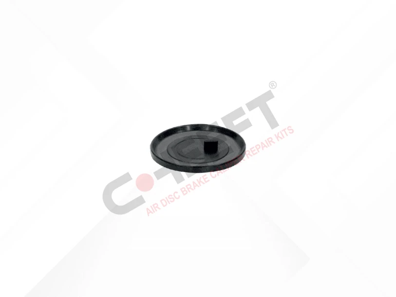 Actuator Seal (with Pin)