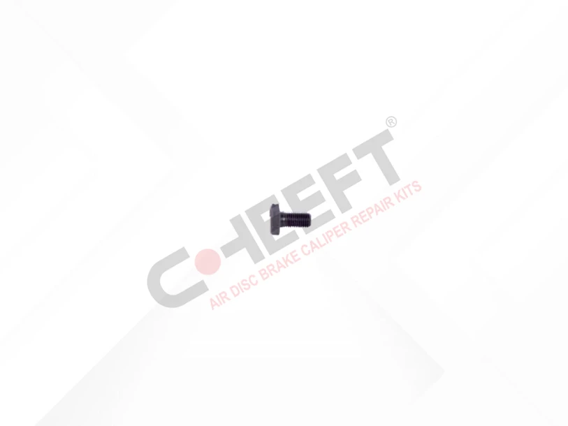 Bolt M10 x 1,25 x 20 mm