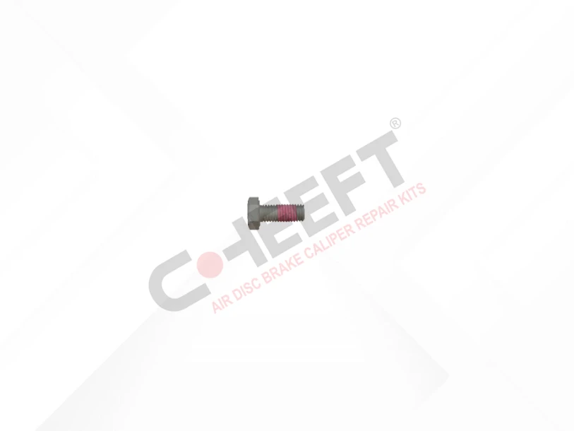 Cover Bolt M12 x 1,75 x 29 mm