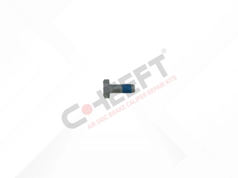 Bolt M10 x 1,5 x 25 mm