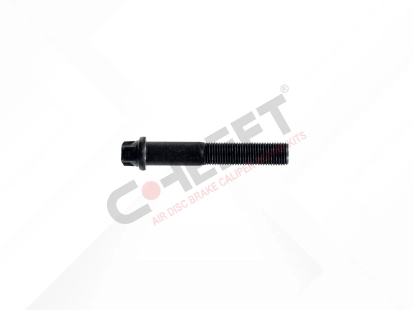 Cover Bolt M12 x 1,25 x 70 mm