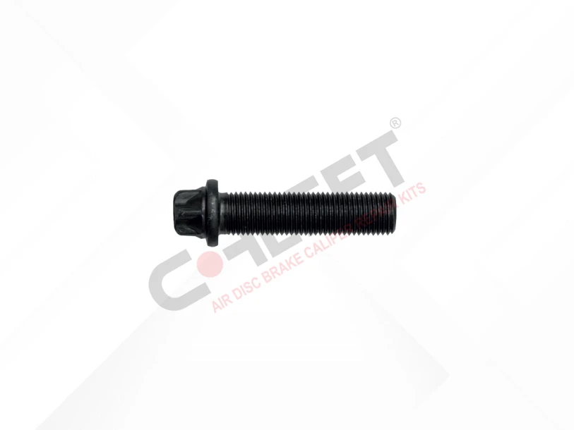 Cover Bolt M14 x 1,5 x 55 mm