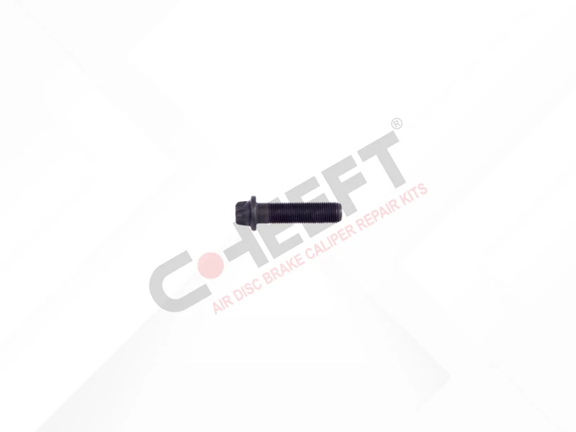 Cover Bolt M10 x 1 x 40 mm