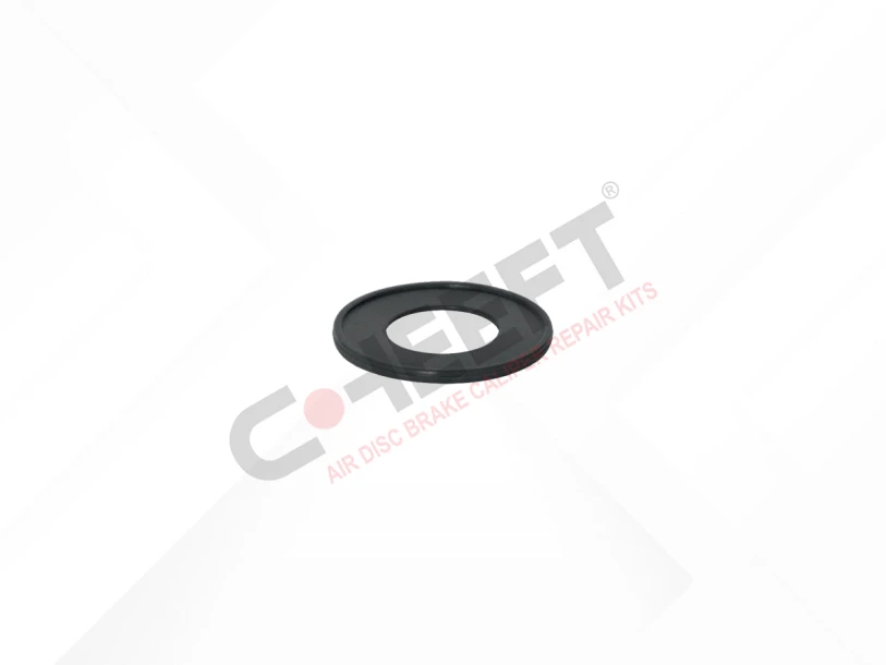 Actuator Seal