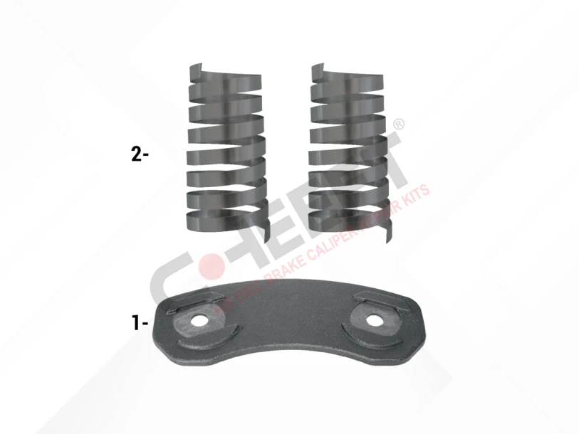 Push Plate & Spring Repair Kit