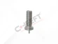 Calibration Bolt